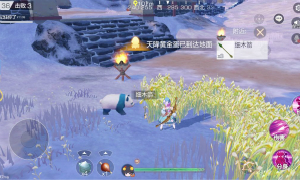 风云岛行动熊猫作用介绍