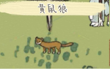 江南百景图黄鼠狼毛位置