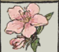 江南百景图桃花地图位置介绍