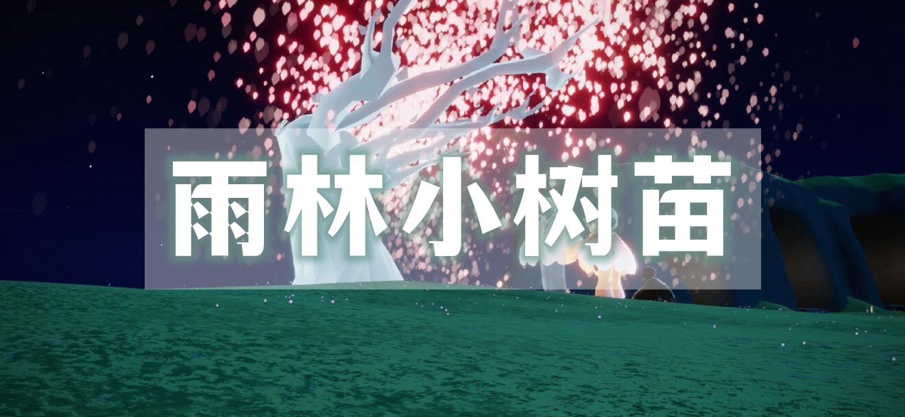 光遇雨林小树苗位置介绍