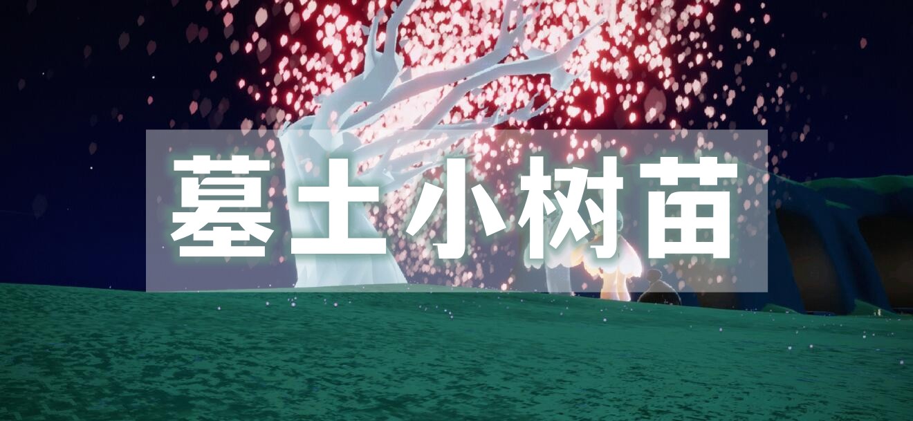 光遇墓土小树苗位置介绍