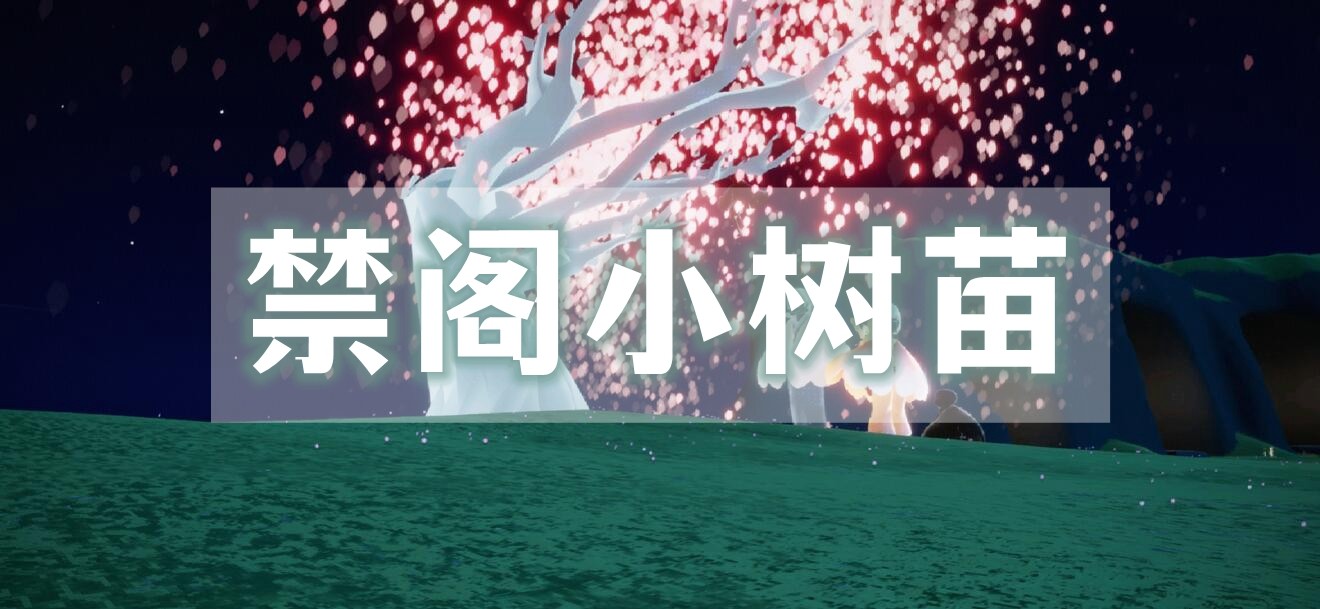 光遇禁阁小树苗位置介绍