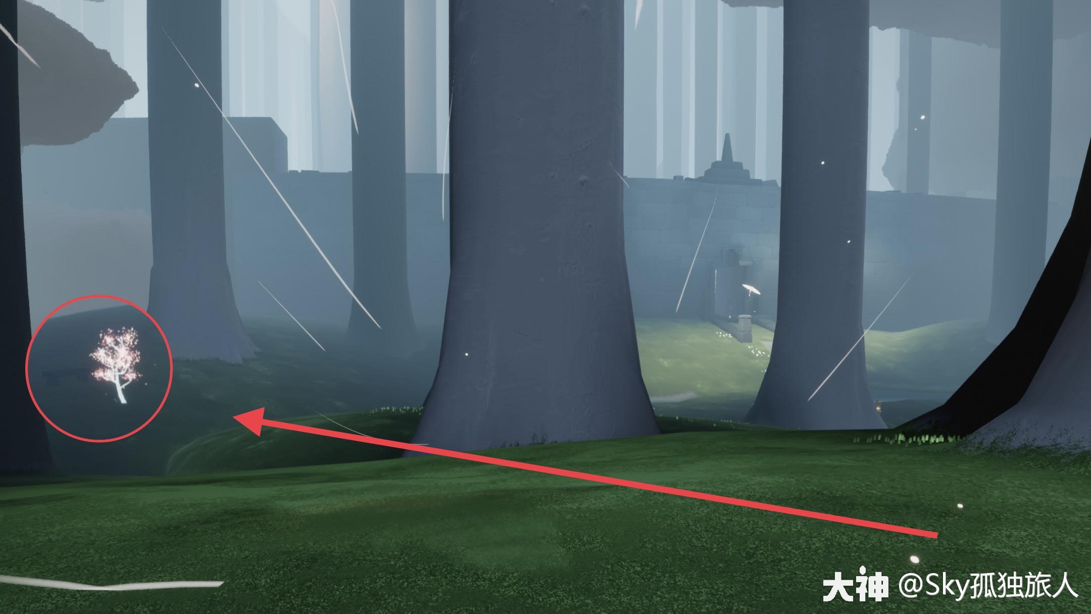 光遇4月9日每日任务攻略