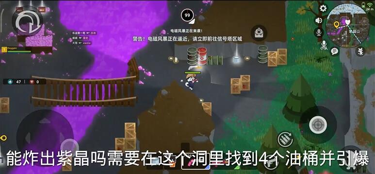 小动物之星紫晶矿服位置