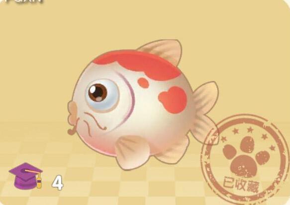 摩尔庄园锦鲤位置