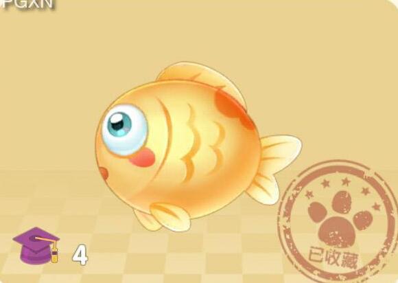 摩尔庄园金鱼位置