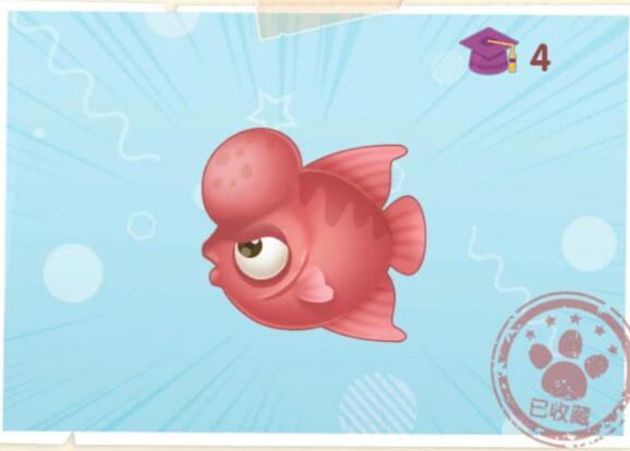 摩尔庄园罗汉鱼位置