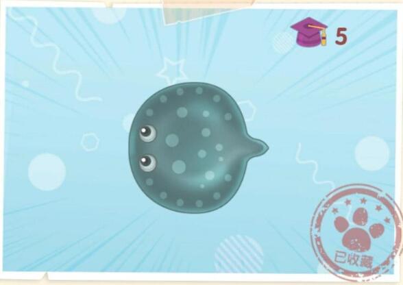 摩尔庄园魟鱼位置