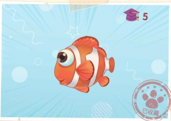 摩尔庄园小丑鱼位置