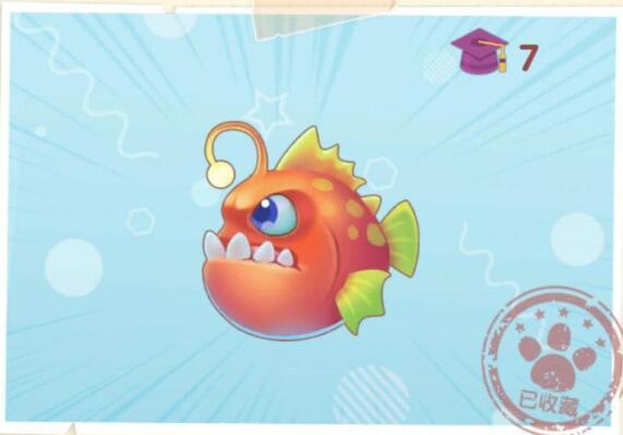 摩尔庄园琵琶鱼位置