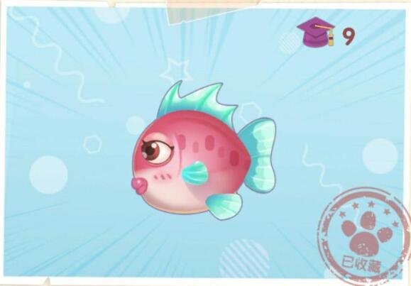 摩尔庄园怪怪鱼位置