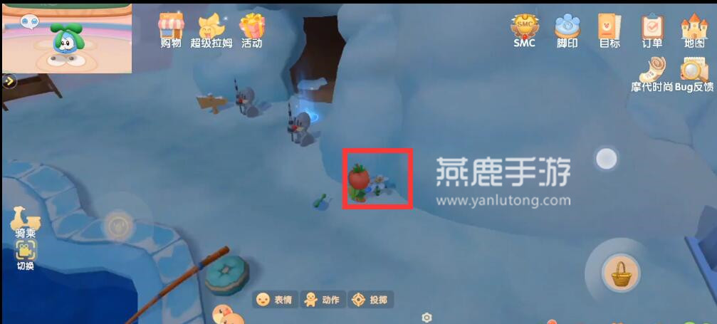 摩尔庄园白色浆果位置