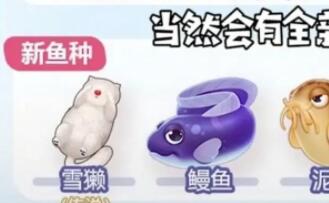 摩尔庄园雪獭位置图