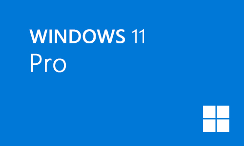 win11 pro