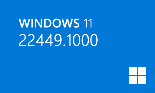 win11 22449.1000