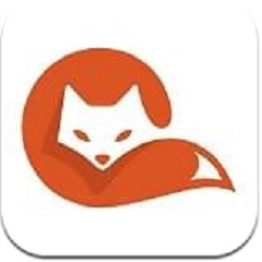 茶杯狐cupfox最新