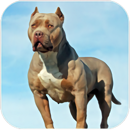 比特犬模拟器下载-比特犬模拟器(pitbull dog simulator)手游最新版