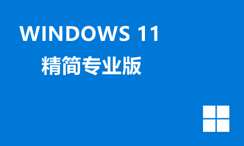 win11精简专业版