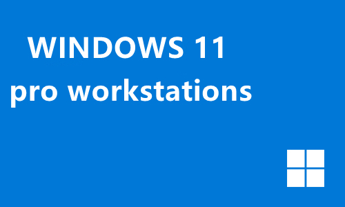 win11 pro workstations