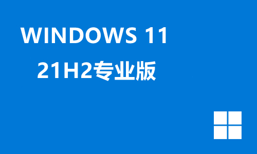win11 21H2专业版