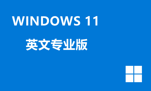 win11英文专业版
