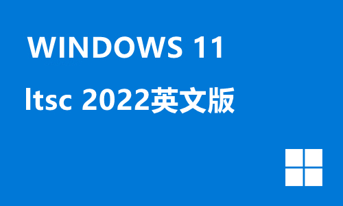 win11 ltsc 2022英文版