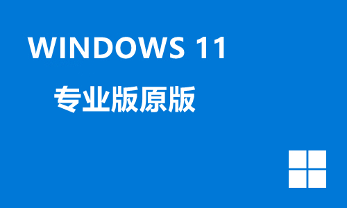 windows11专业版原版