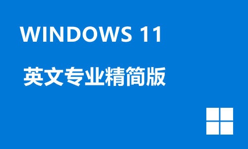win11英文专业精简版