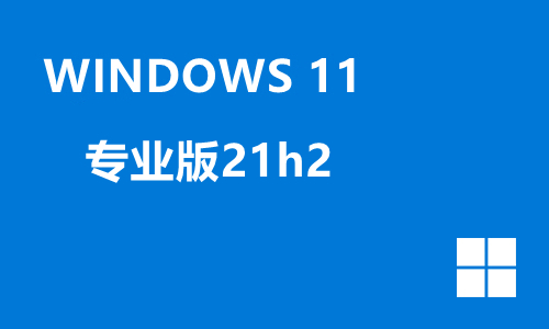 win11专业版21h2