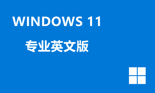 win11专业英文版