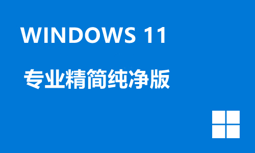 win11专业精简纯净版
