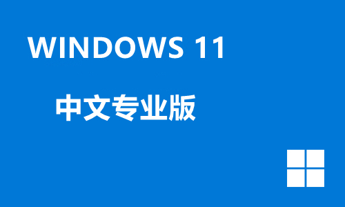 win11中文专业版