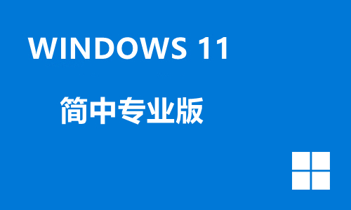 win11简中专业版
