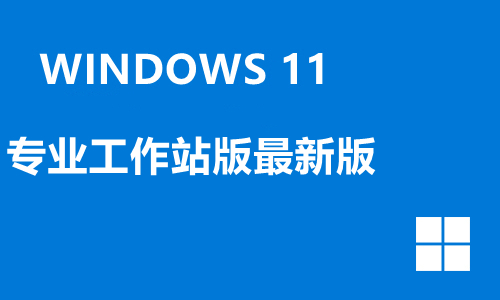 win11专业工作站版最新版