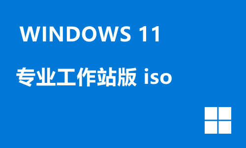 win11专业工作站版 iso