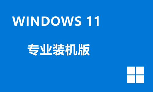 win11专业装机版
