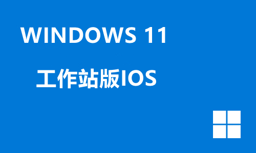 win11工作站版IOS