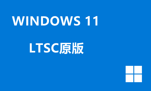 wn11 LTSC原版