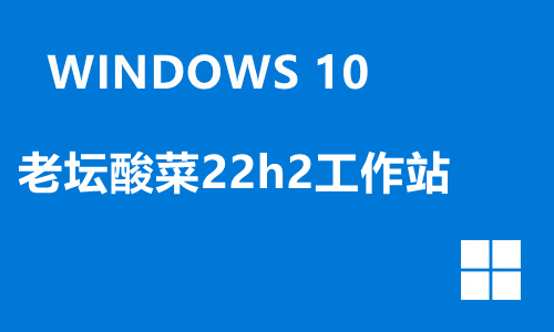 win10老坛酸菜22h2工作站