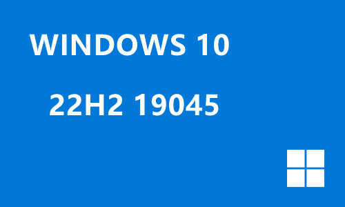 win10 22H2 19045