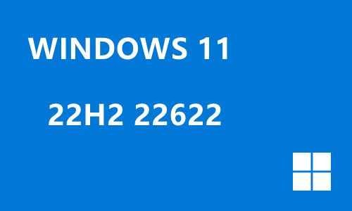 win11 22H2 22622