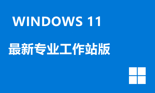 win11最新专业工作站版