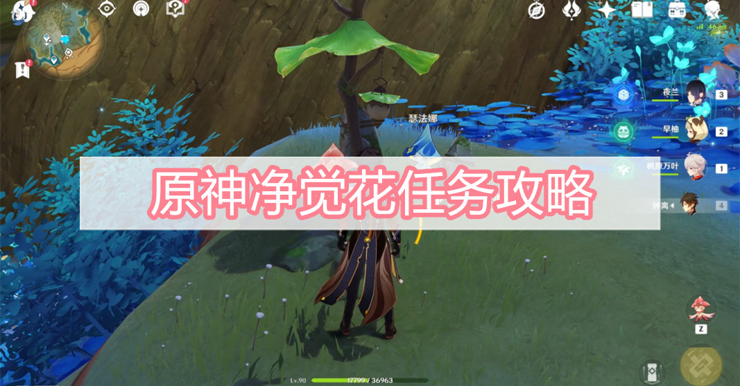 原神净觉花任务攻略