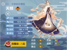 阴阳师天照御魂搭配2024