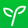 Yos市场app