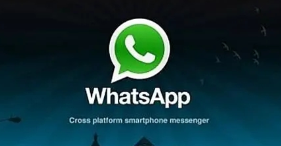 whatsapp中国怎么用？whatsapp软件国内使用方法插图